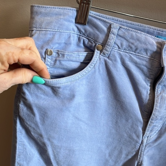 J. McLaughlin Watson Velvet Jeans Pants Baby Blue Size 12 - Picture 3 of 7